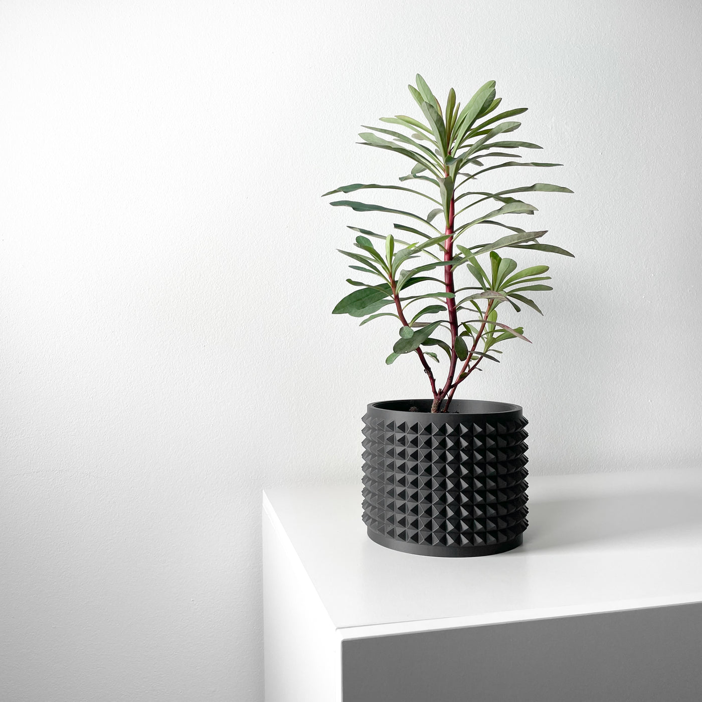 Anver spiked texture indoor planter, product view 2