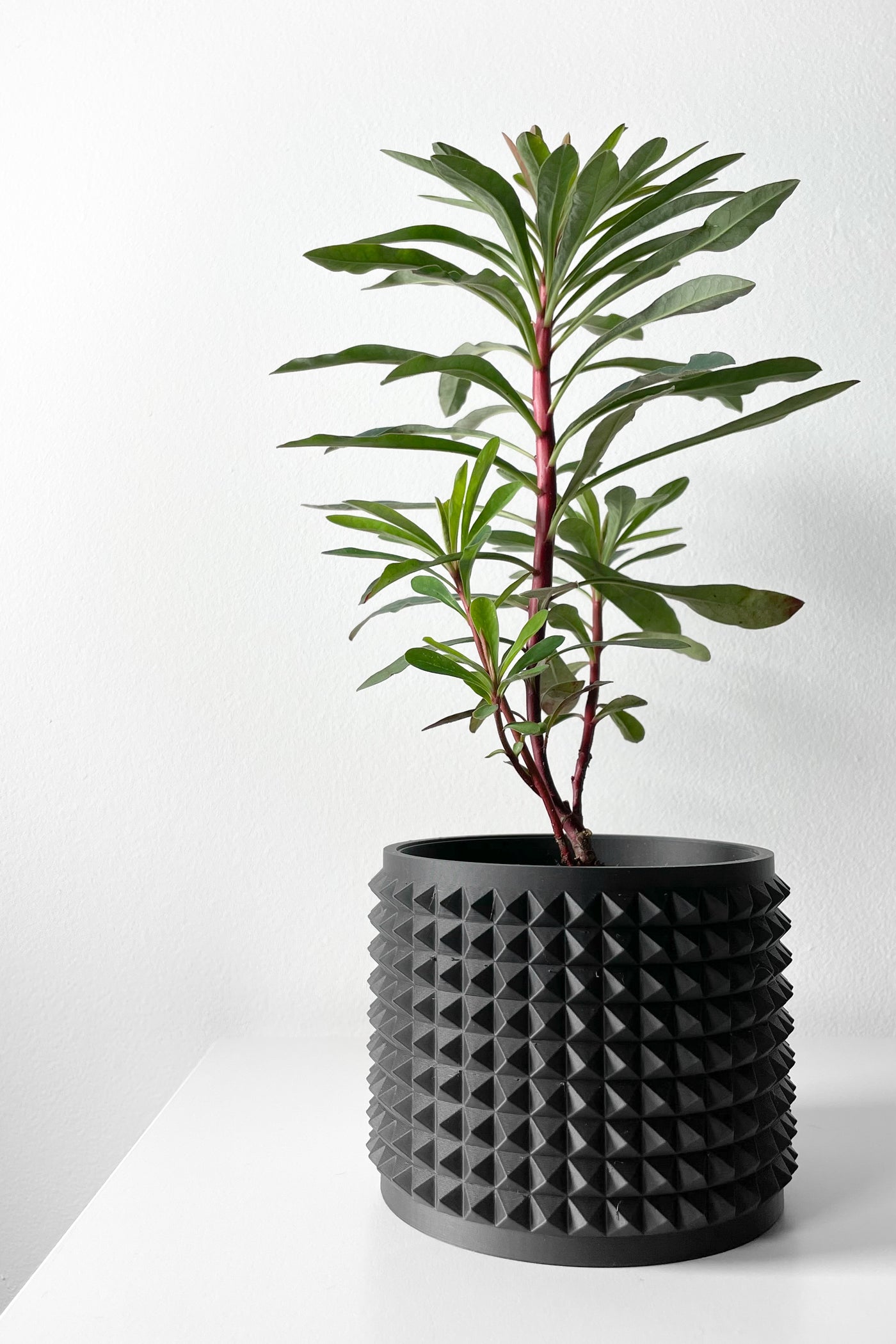 Anver spiked texture indoor planter, product view 6