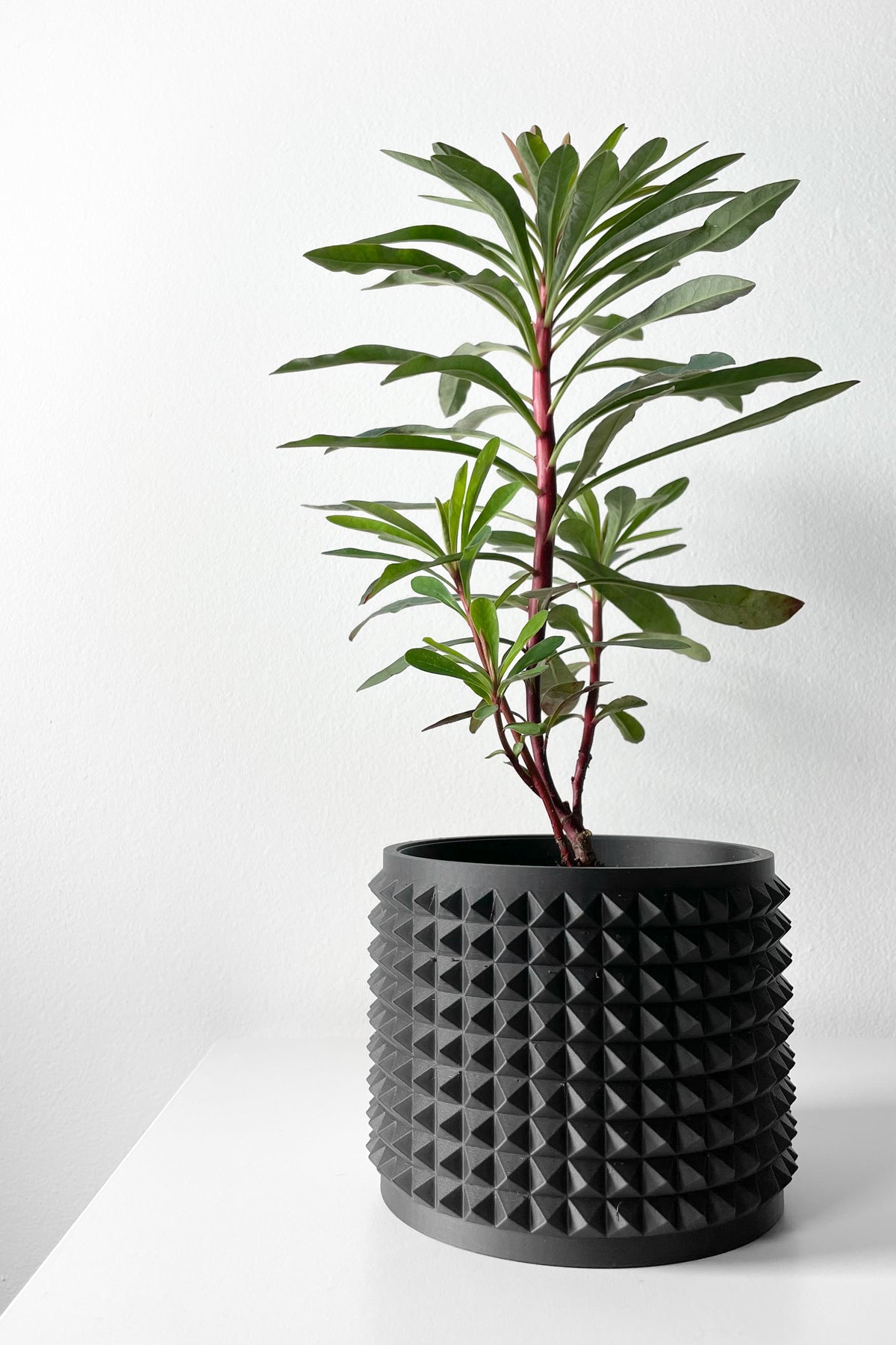 Anver spiked texture indoor planter, product view 6
