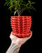 3D printed flower pot with plant, modern geometric planter perfect for windowsill or tabletop