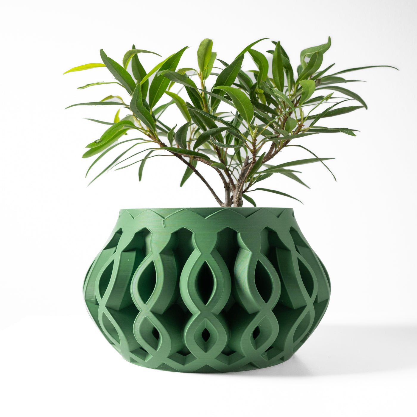 Cylas spiral indoor planter, product view 1