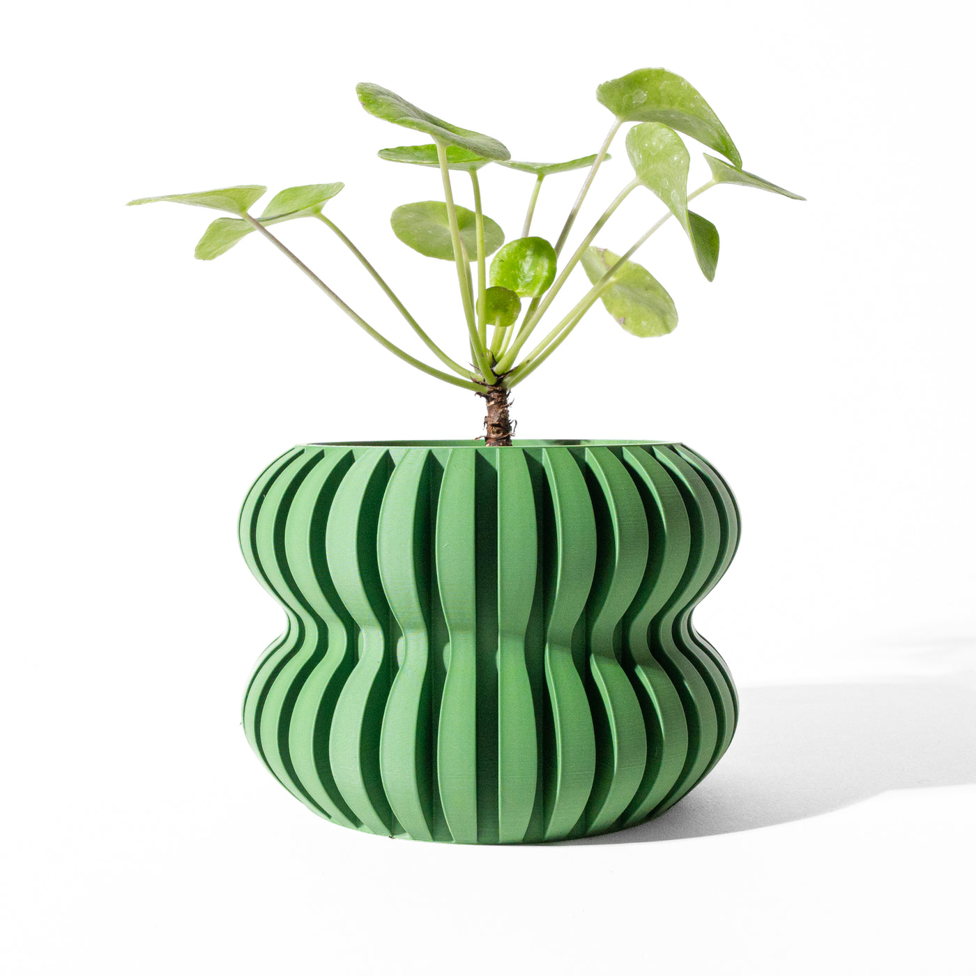 Daso ribbed indoor planter, product view 5