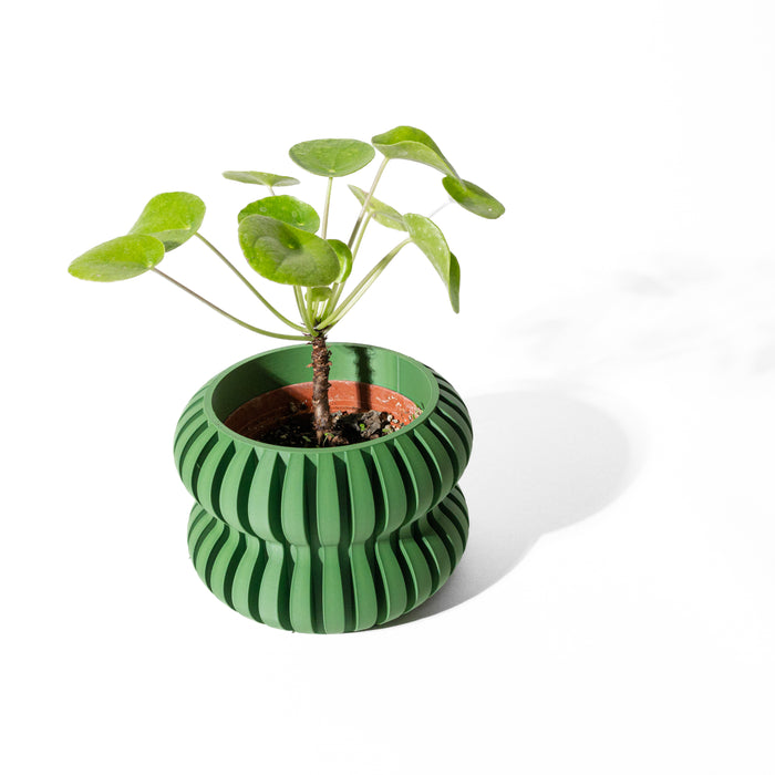 Rippled texture indoor flower pot with bold silhouette and drainage option, 3D printed for minimal and contemporary aesthetics