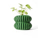 Vibrant green designer planter with undulating walls, perfect for gifting plant lovers or decorating workspaces with style
