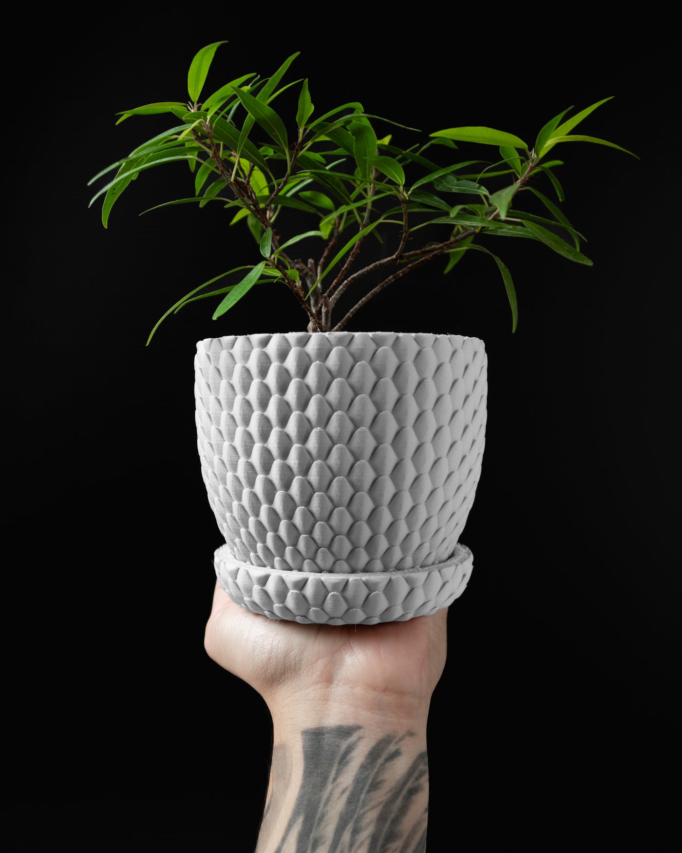 Dragonscale scale texture indoor planter, product view 2