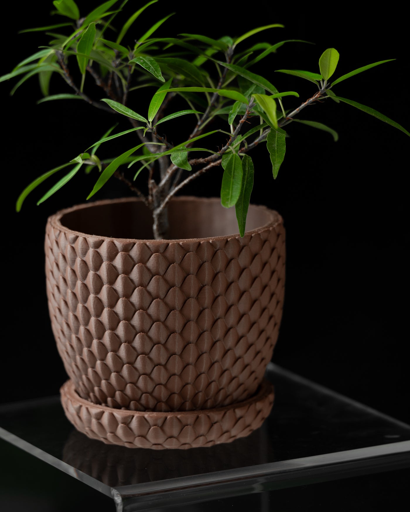 Dragonscale scale texture indoor planter, product view 1