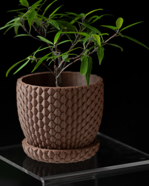 Brown Dragonscale planter with a leafy indoor plant and matching textured saucer