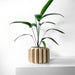 3D printed planter pot with vertically ribbed cylindrical body, wide top opening, and reinforced rim, placed on flat surface