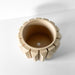 Detailed side view of vertically fluted planter pot with smooth wide opening and thickened rim, cylindrical design