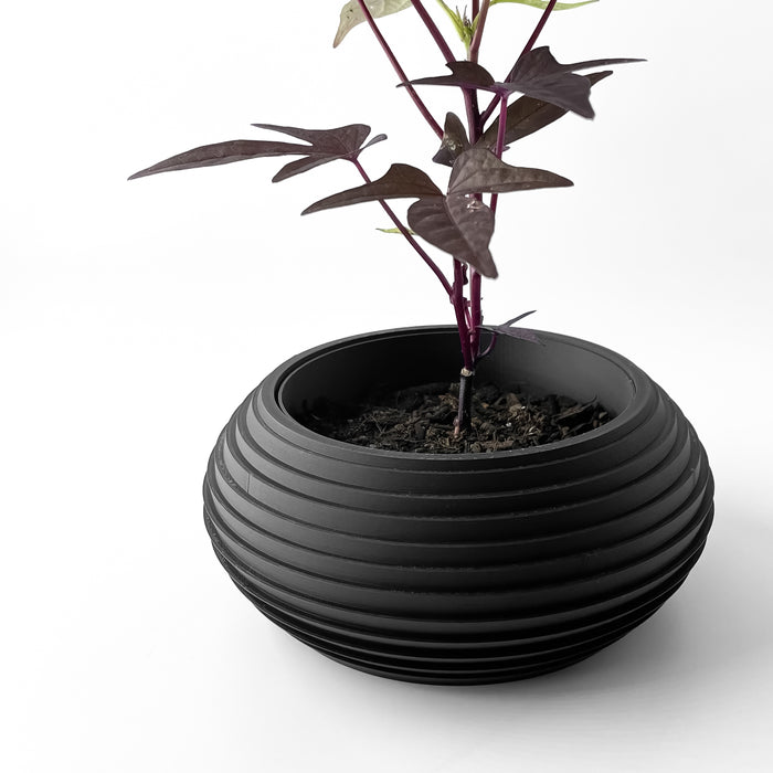 Sculptural pot with smooth, round silhouette and layered texture, ideal for succulent display