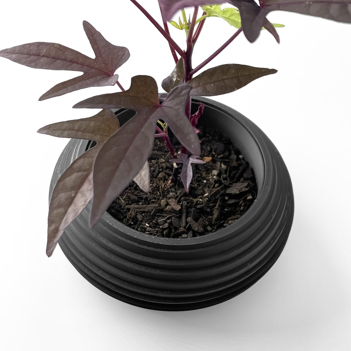 Frons ribbed indoor planter, product view 4