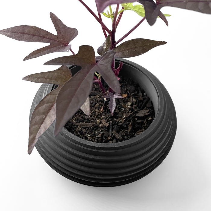 Contemporary flower pot with elegant oval form and textured horizontal rings