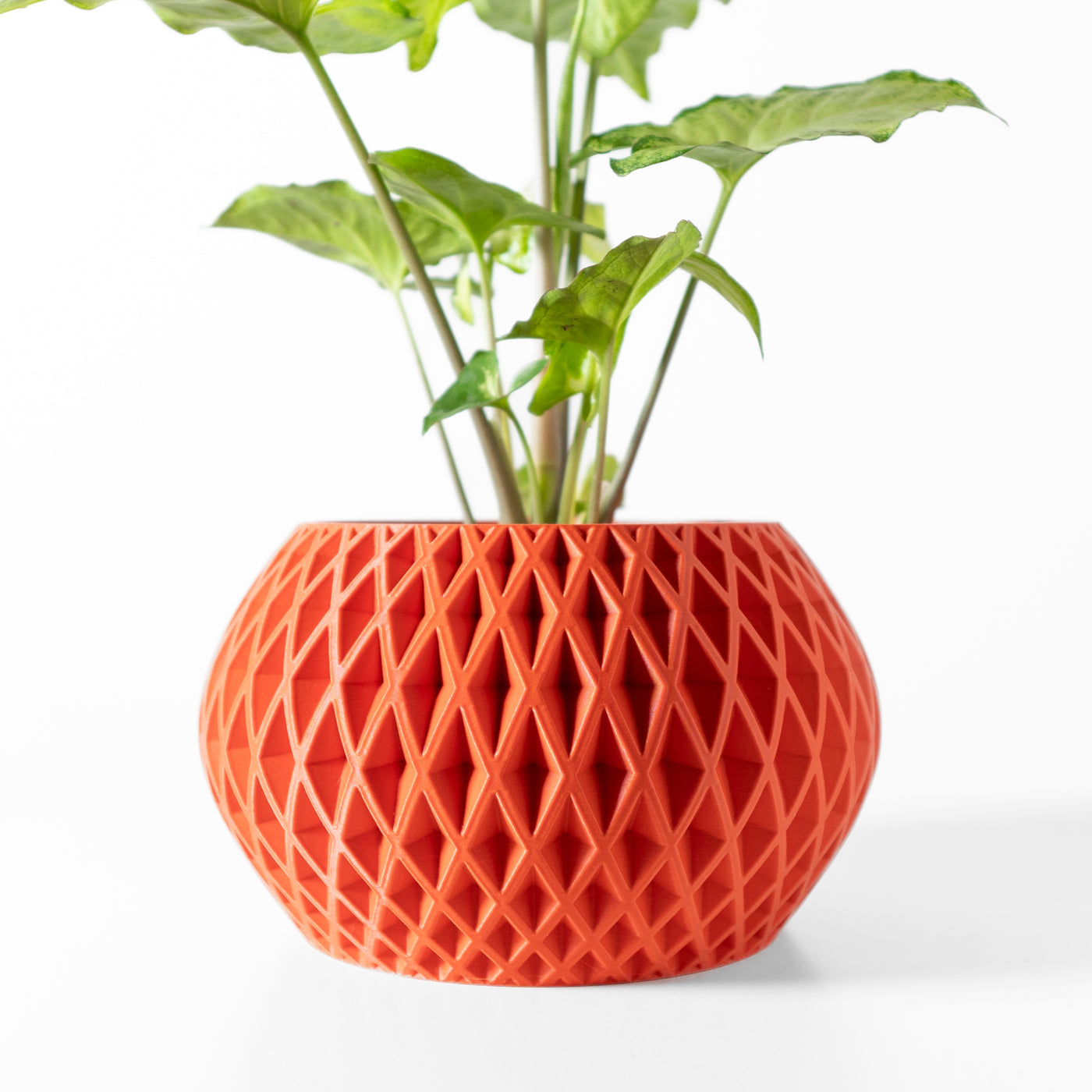 Gisar geometric indoor planter, product view 1