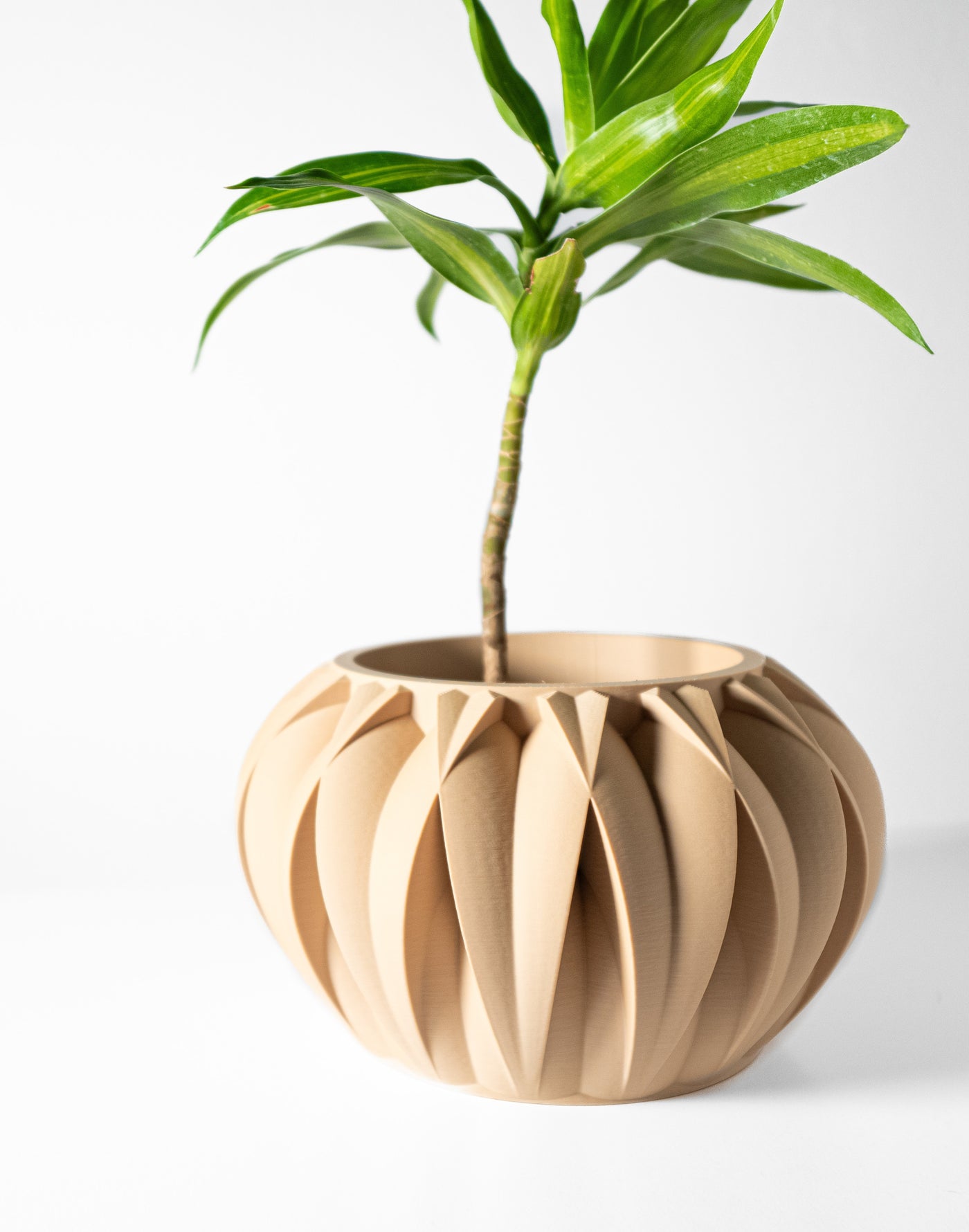 Halden sculptural indoor planter, product view 3