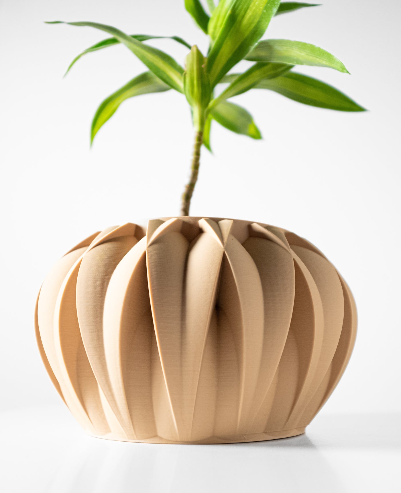 Halden sculptural indoor planter, product view 4
