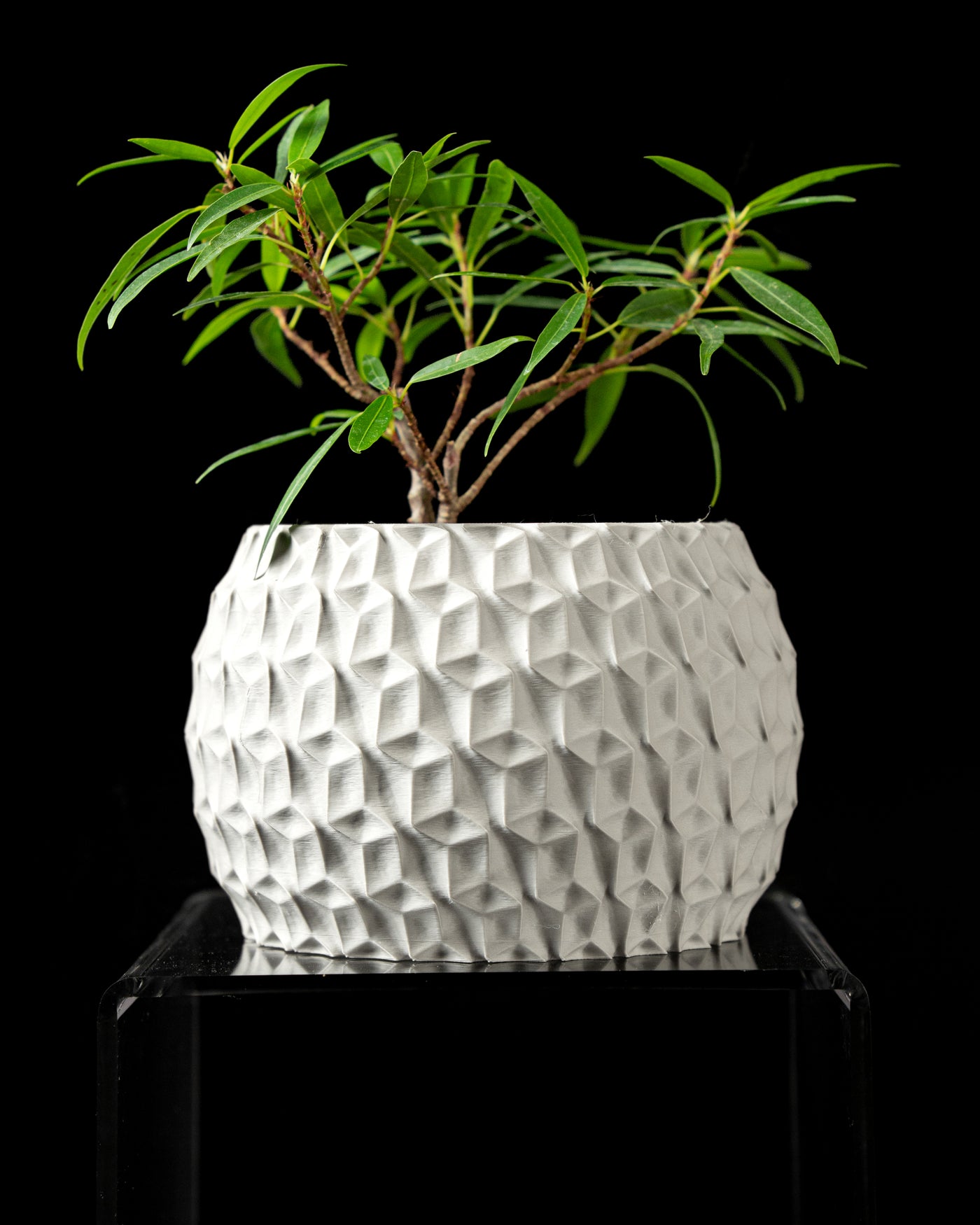 Hexa geometric indoor planter, product view 1