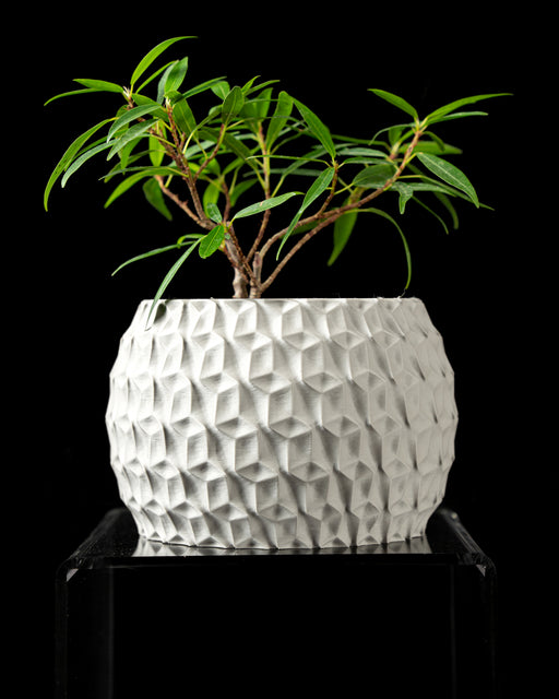 Beige Hexa planter with a leafy indoor plant on a black background