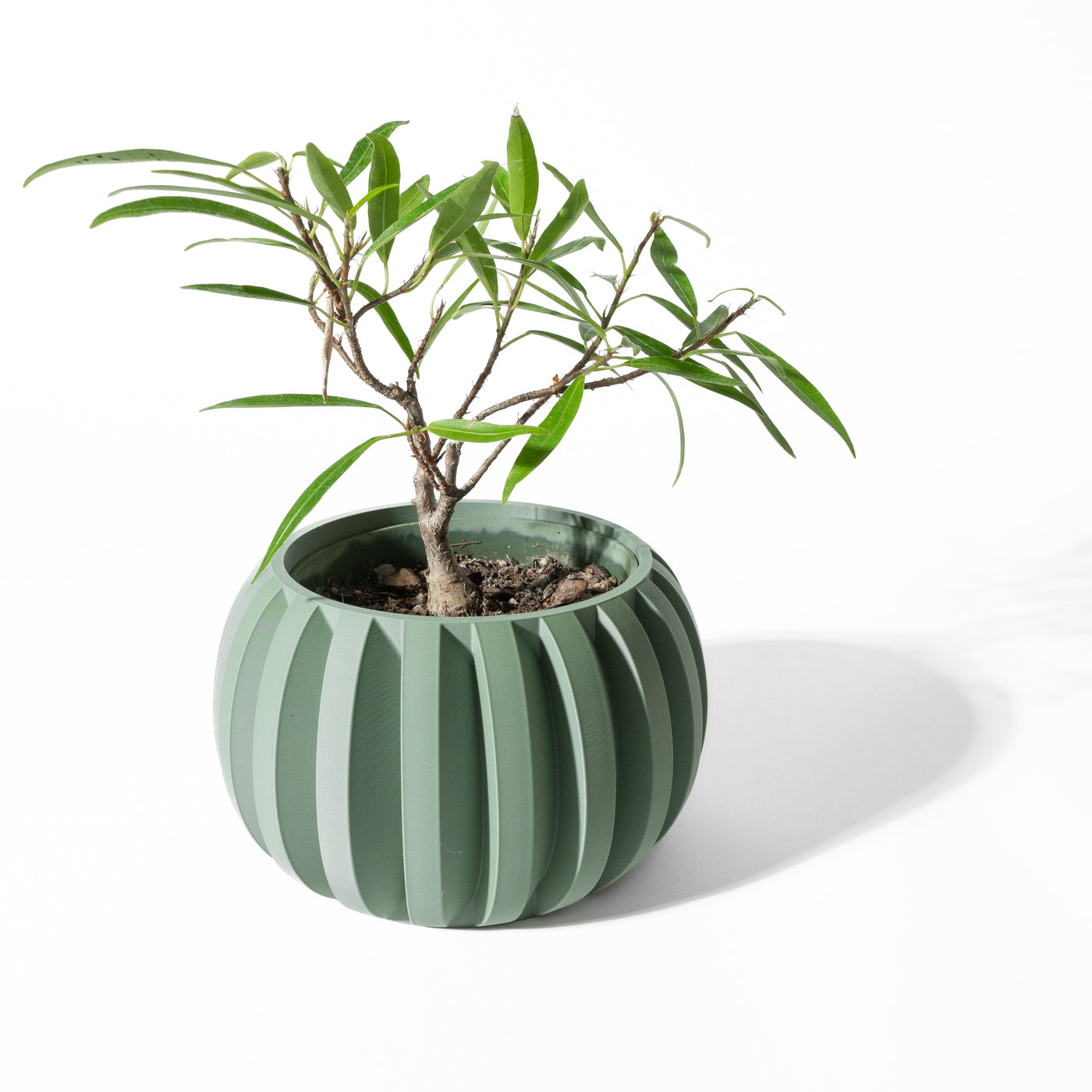 Jone ribbed indoor planter, product view 3