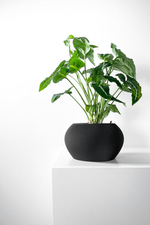 Modern black 3D printed flower pot with smooth matte finish | stylish indoor planter for minimalistic home décor | ideal for succulents or herbs