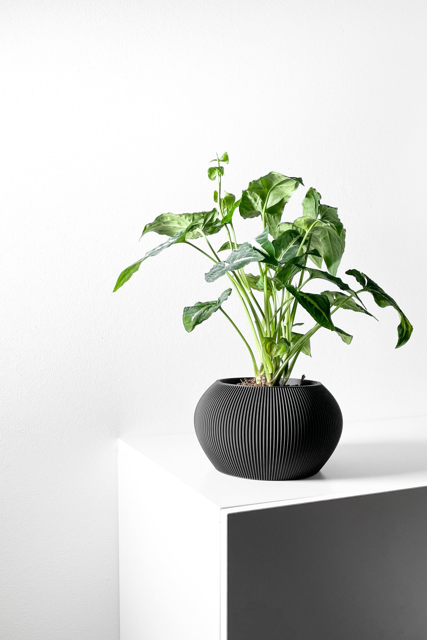 Melfi ribbed indoor planter, product view 2