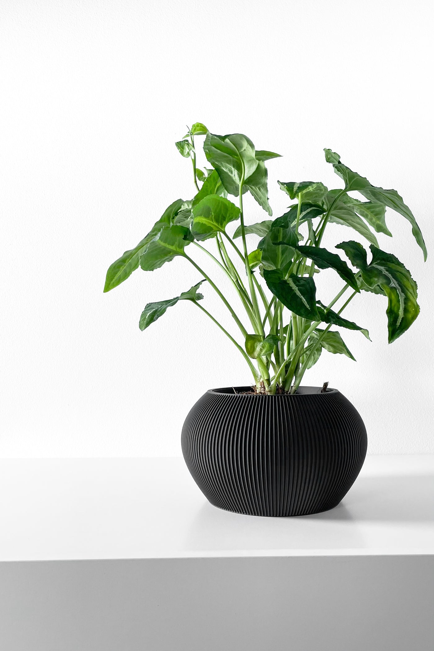 Melfi ribbed indoor planter, product view 3