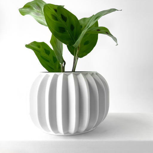 3D printed modern planter pot with vertical fluting and rounded silhouette, stylish container for tabletop indoor plants