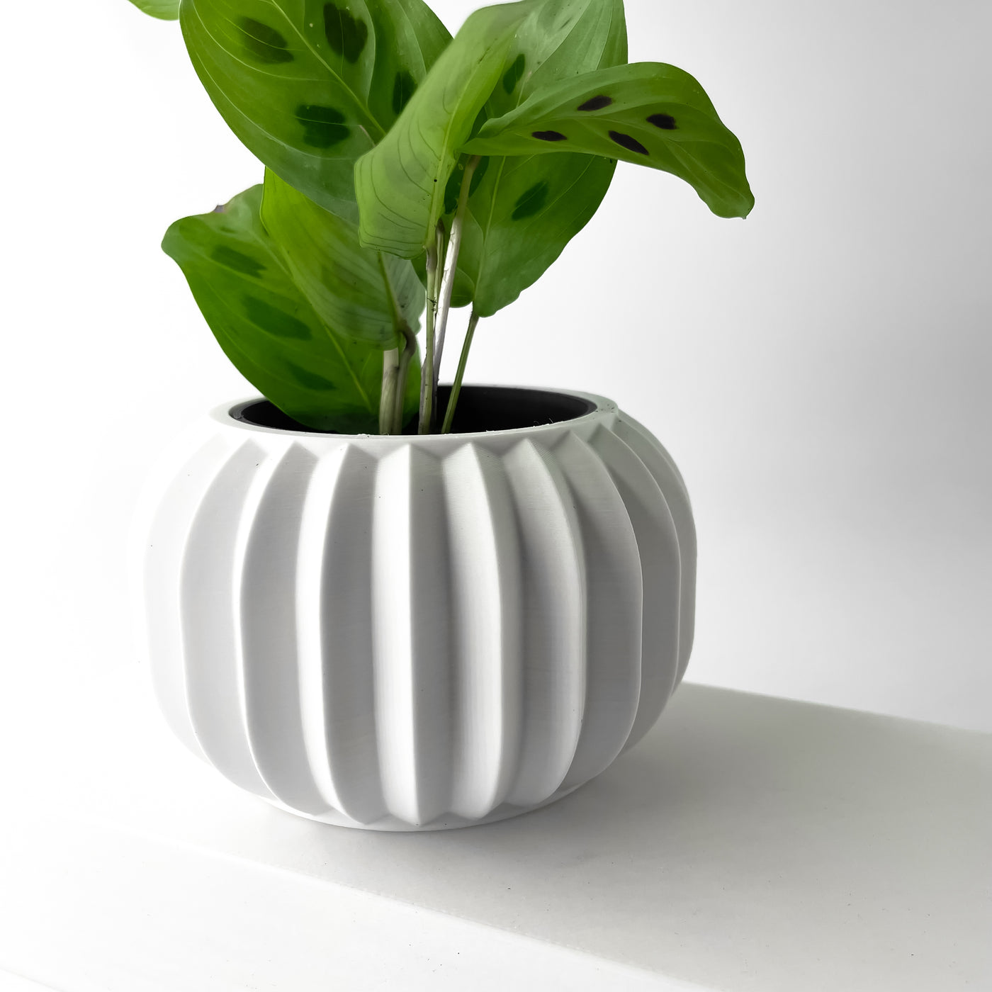 Olin ribbed indoor planter, product view 2