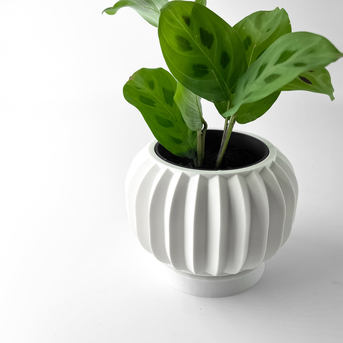 Olin ribbed indoor planter, product view 3