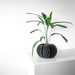 Contemporary black planter with bold vertical ridges | designer pot for houseplants or succulents