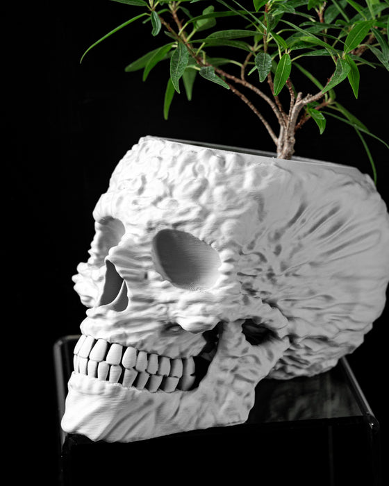 Planter Pot "Skull" - size | color options | with Drainage Hole