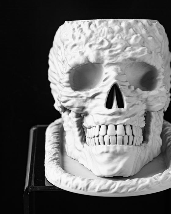 Planter Pot "Skull" - size | color options | with Drainage Hole