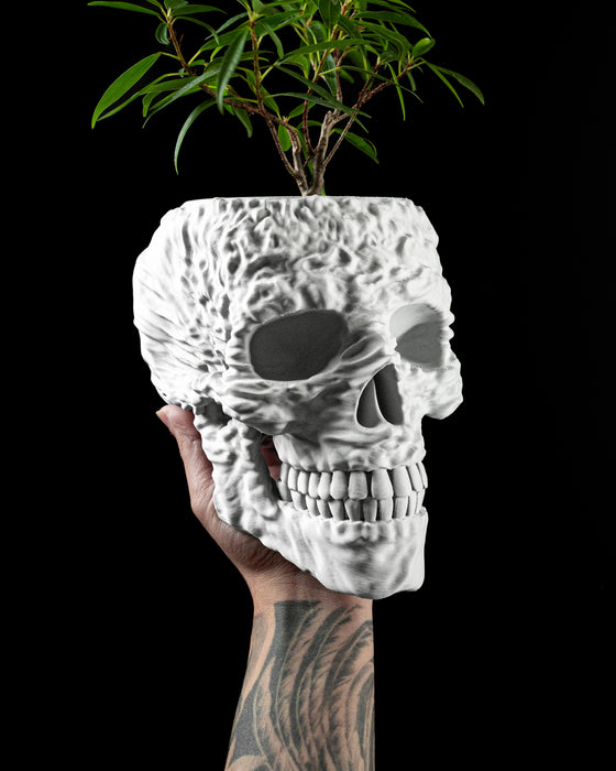 Planter Pot "Skull" - size | color options | with Drainage Hole