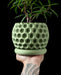 Green 3D printed planter with bubble texture, indoor plant pot with futuristic design