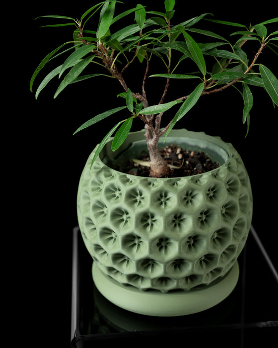 Unique green flower pot with drainage tray, modern sculptural planter for tabletop