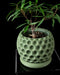 Unique green flower pot with drainage tray, modern sculptural planter for tabletop