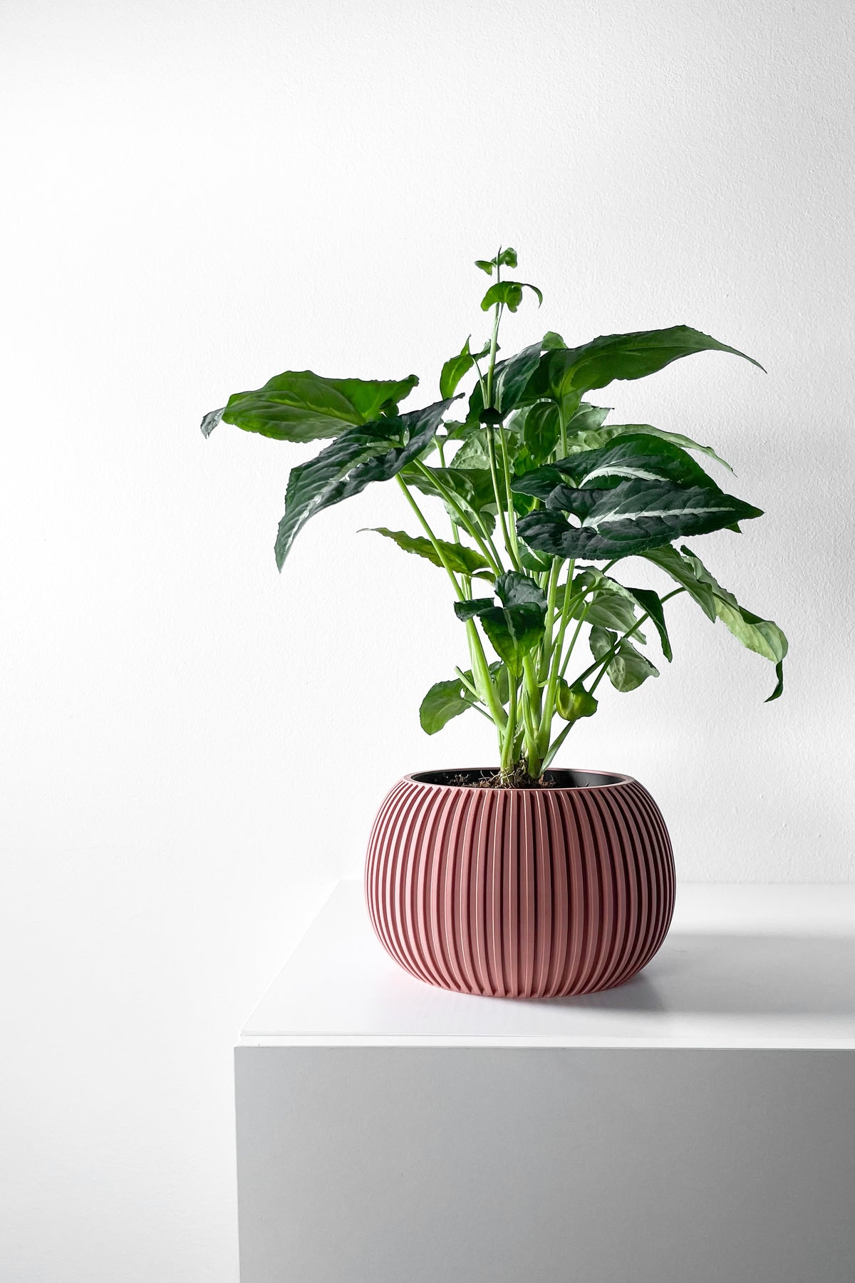 Surno ribbed indoor planter, product view 3
