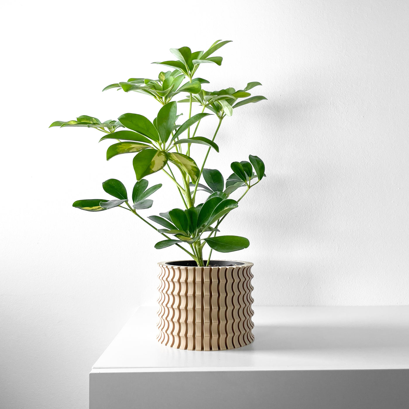 Tulam spiral indoor planter, product view 1