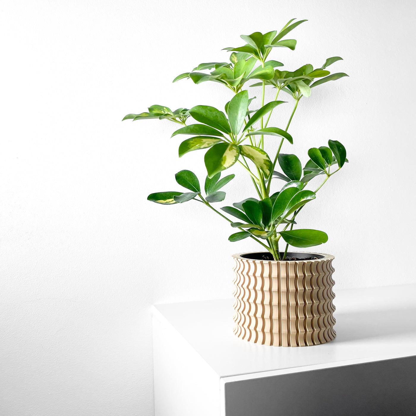 Tulam spiral indoor planter, product view 2