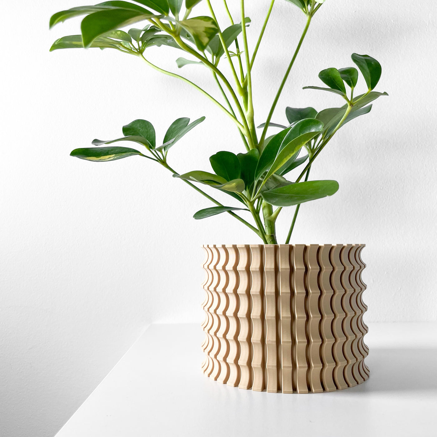 Tulam spiral indoor planter, product view 3