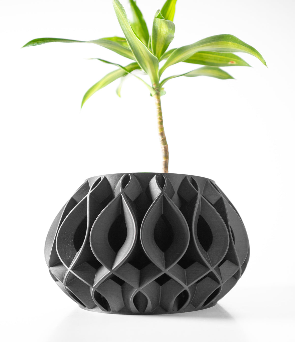 Viris sculptural indoor planter, product view 3