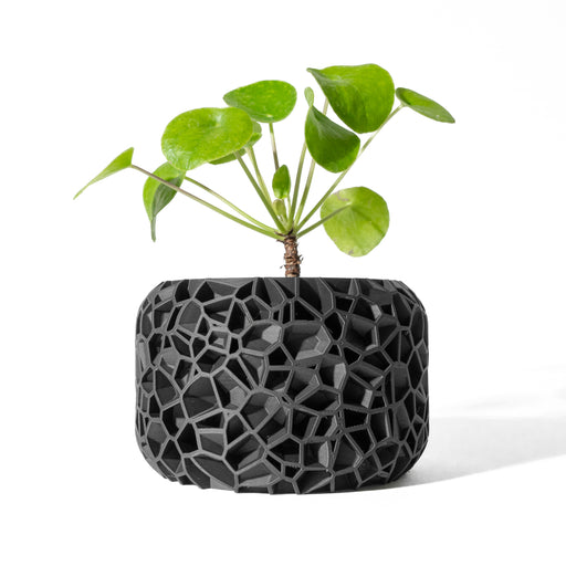 Black 3D printed planter with biomorphic lattice design, ideal for modern succulents, statement orchids, or indoor greenery
