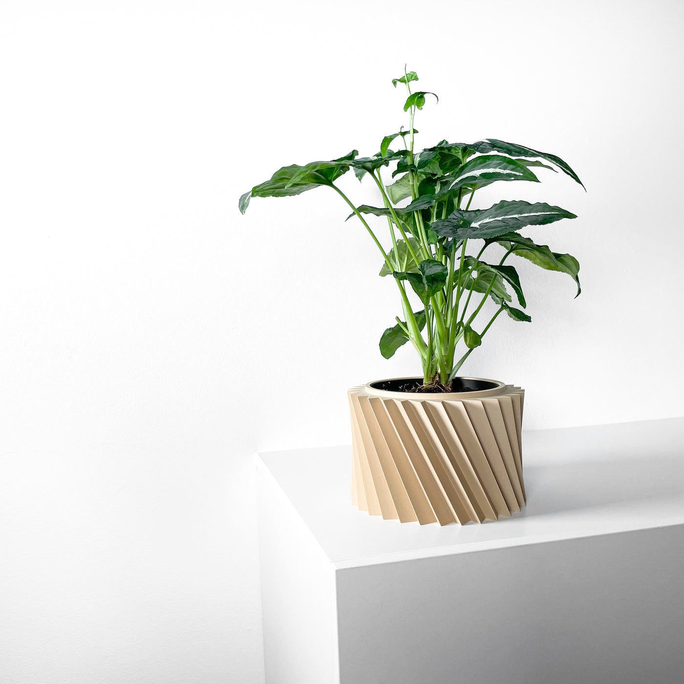 Wiron spiral indoor planter, product view 2
