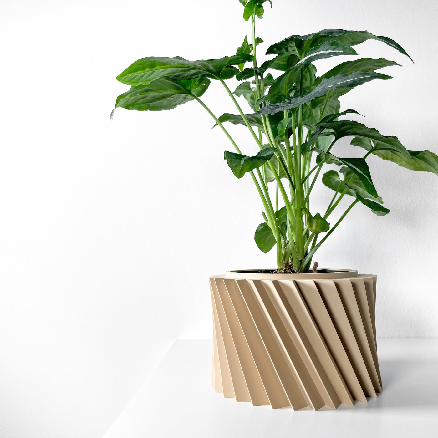 Wiron spiral indoor planter, product view 3
