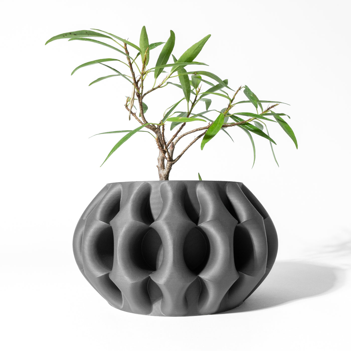 Xiomu botanical texture indoor planter, product view 1