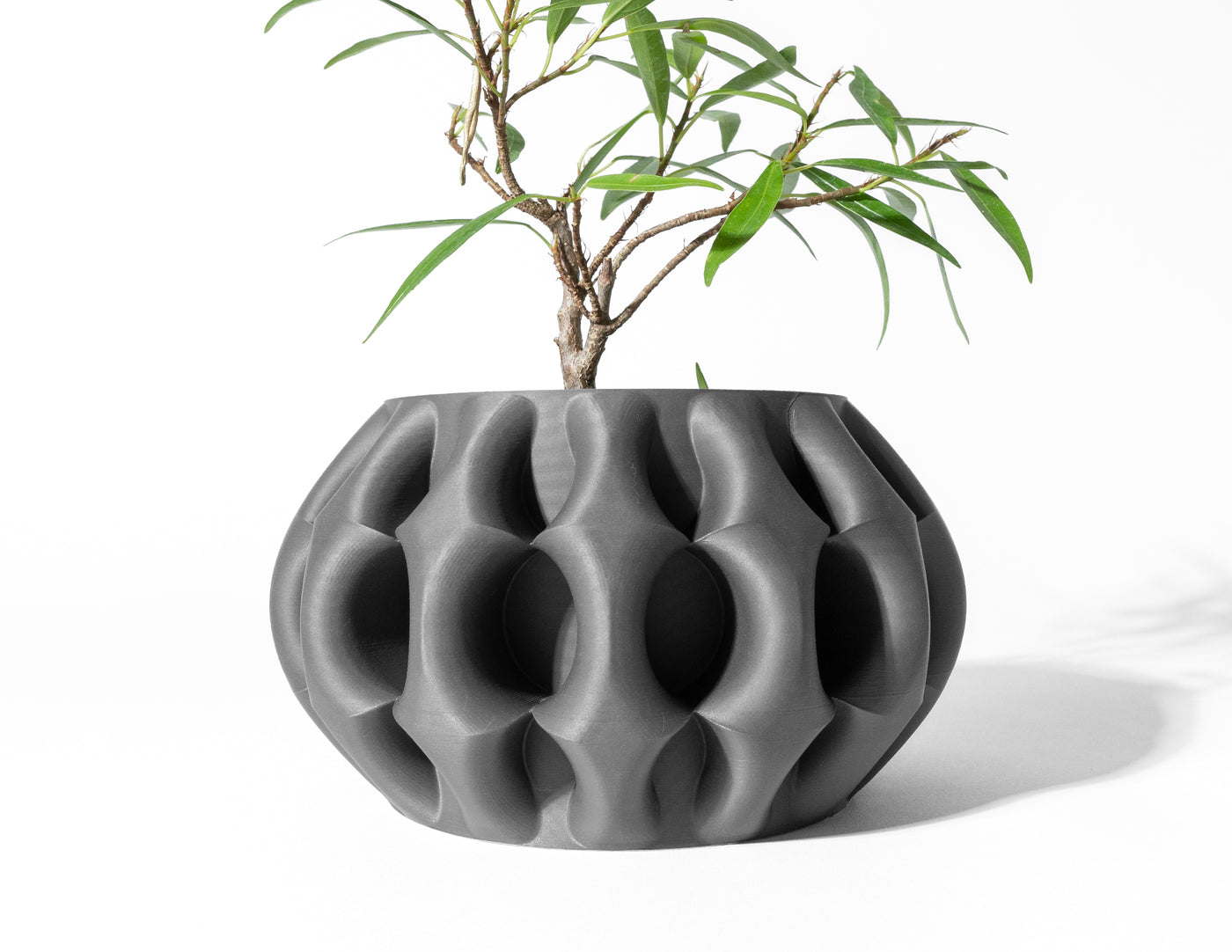Xiomu botanical texture indoor planter, product view 2
