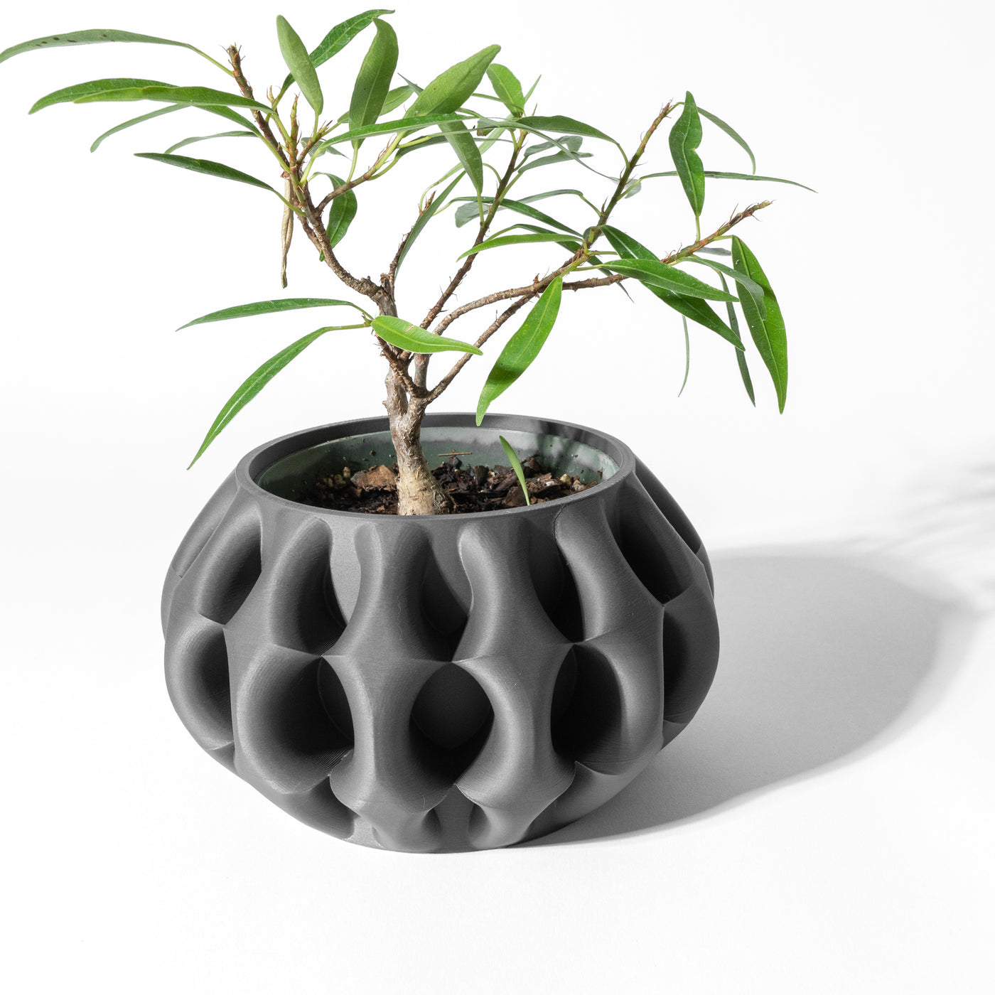 Xiomu botanical texture indoor planter, product view 3