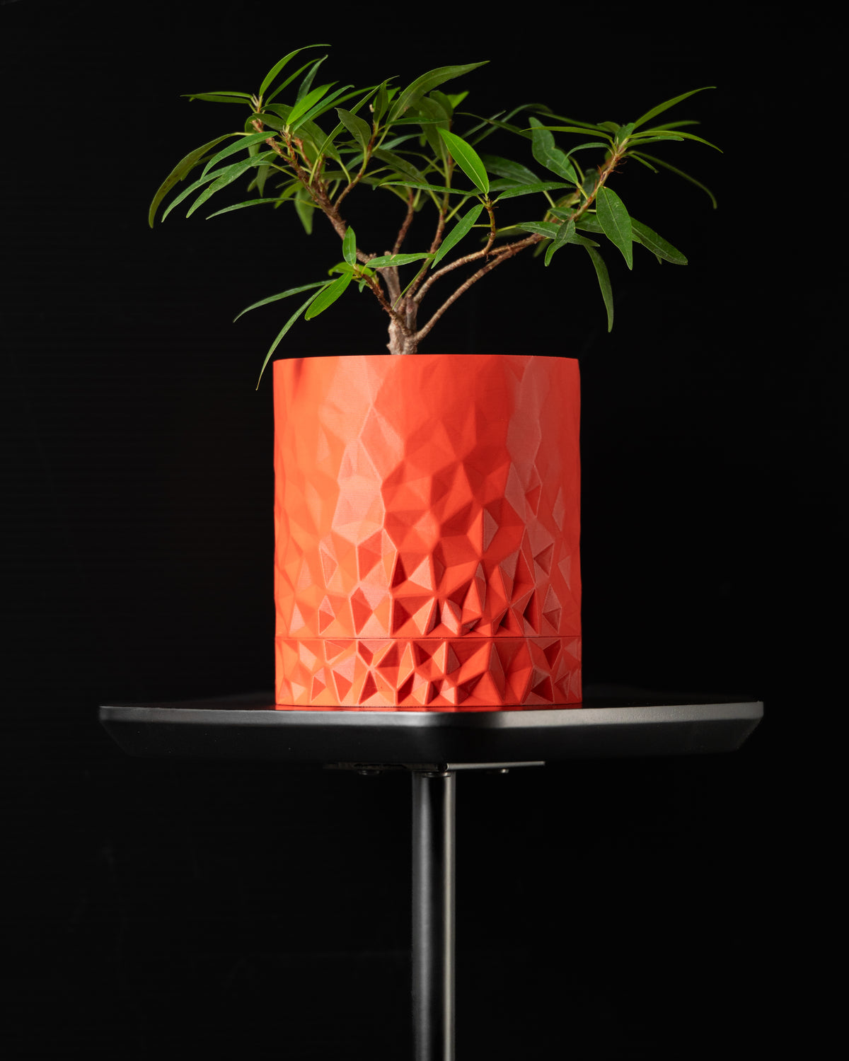 Front view of the Voronoi wall mounted plant pot