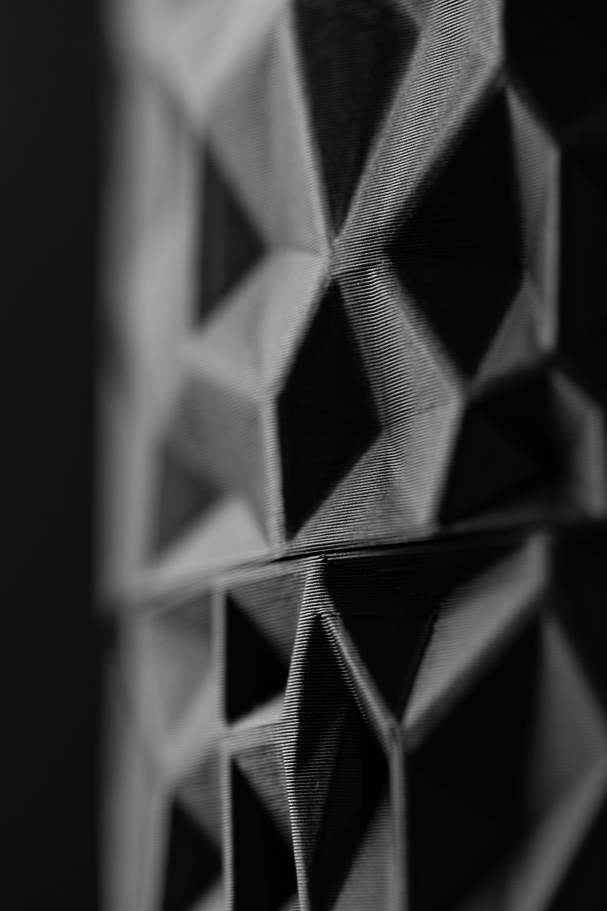 Voronoi geometric wall planter displayed with indoor greenery