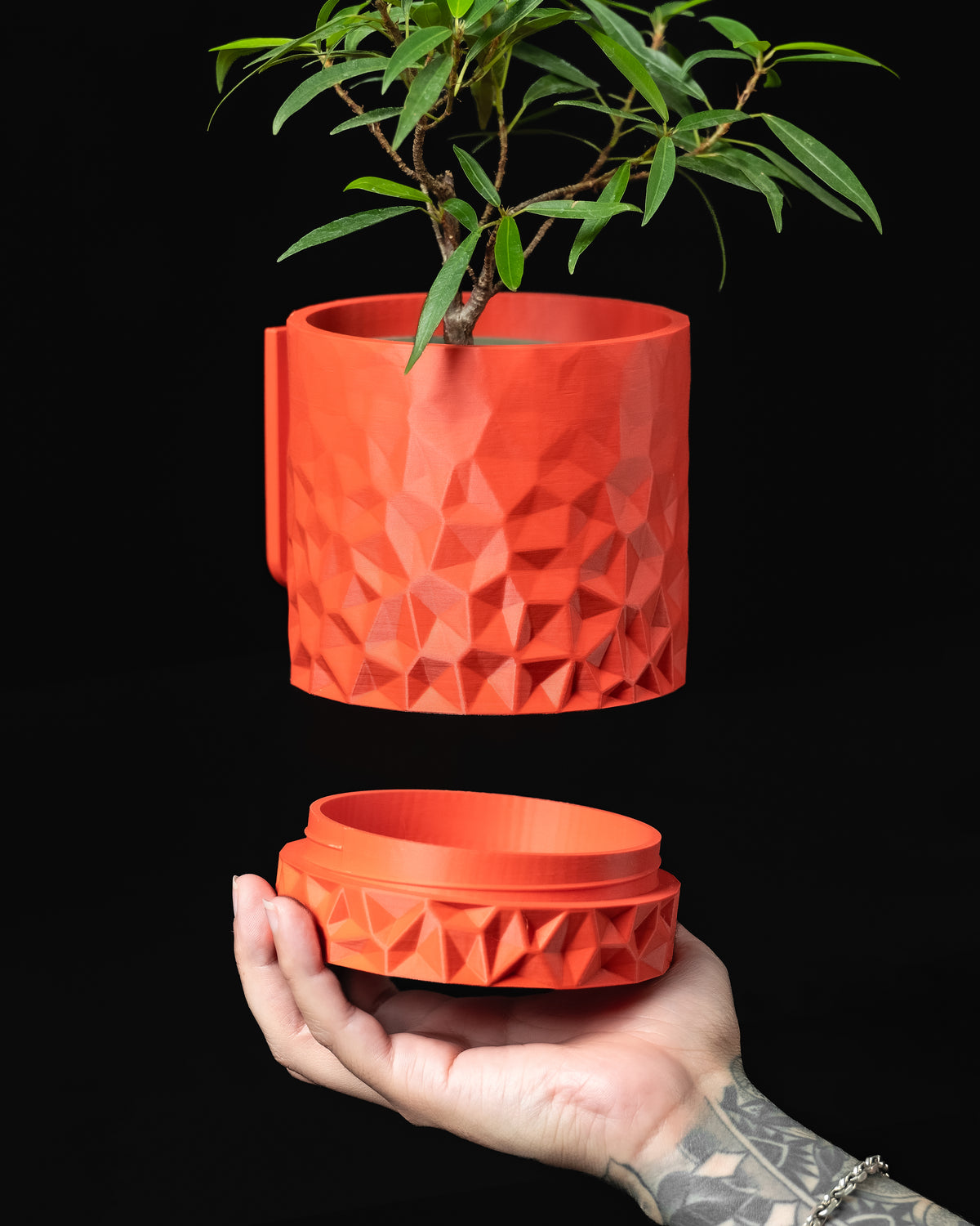 Voronoi geometric wall planter with cellular surface texture
