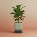 Custom 3D Printed Planter “Vori Square” – Modern Square Plant Pot, Two-Tone or Solid Color
